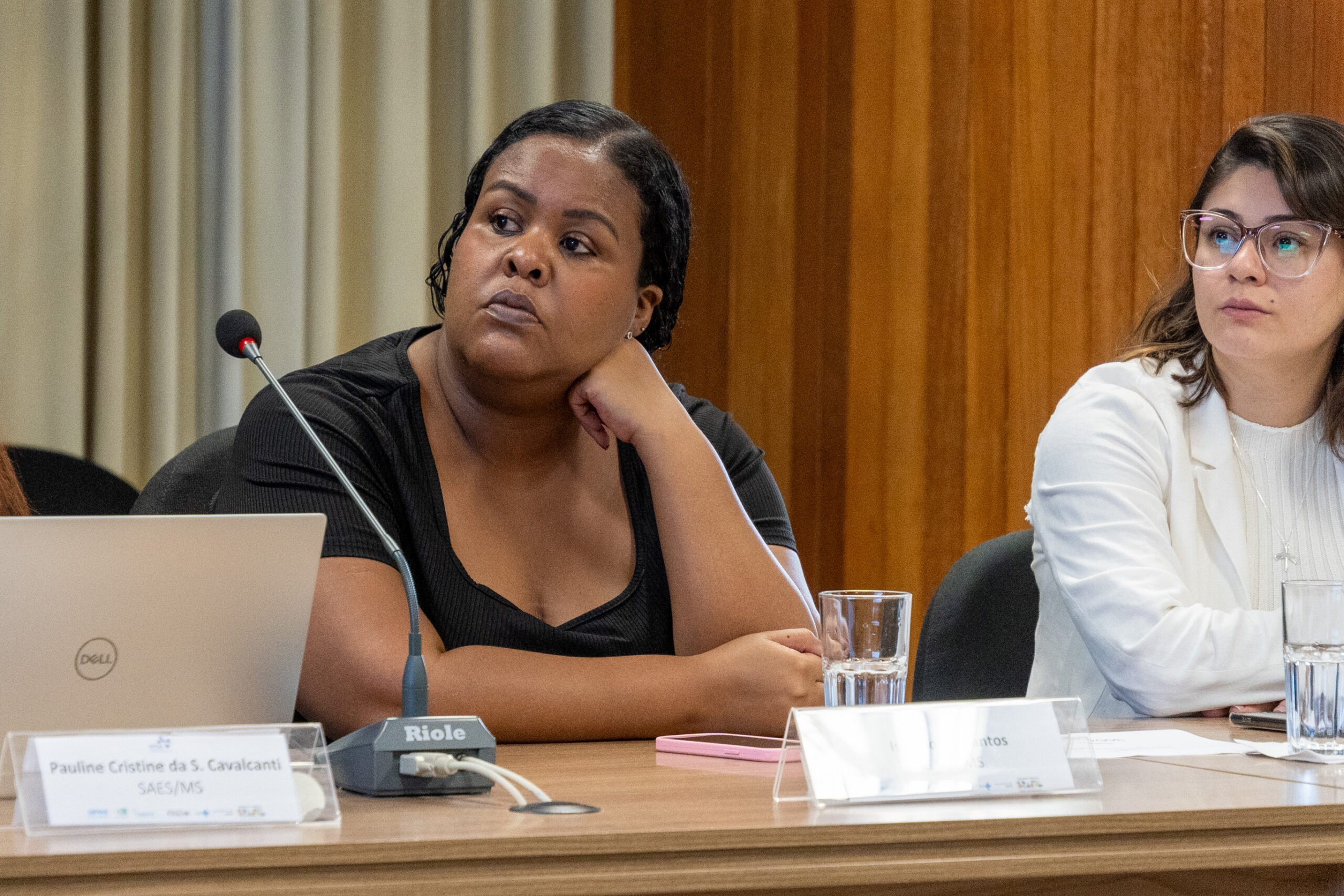 5ª Reunião dos Comitês de Gestão de Indicadores da Ripsa​ - 2024.10.29 e 30