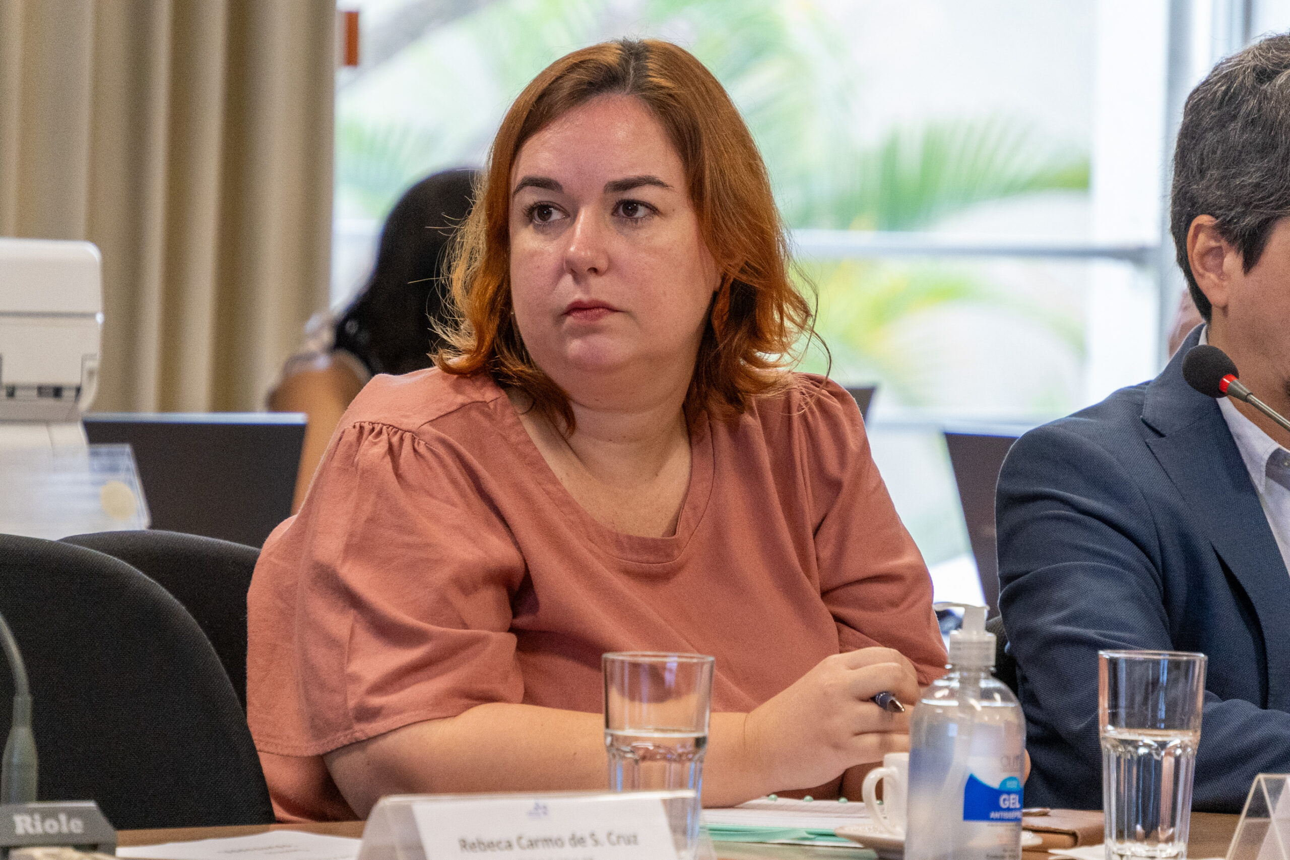 5ª Reunião dos Comitês de Gestão de Indicadores da Ripsa​ - 2024.10.29 e 30