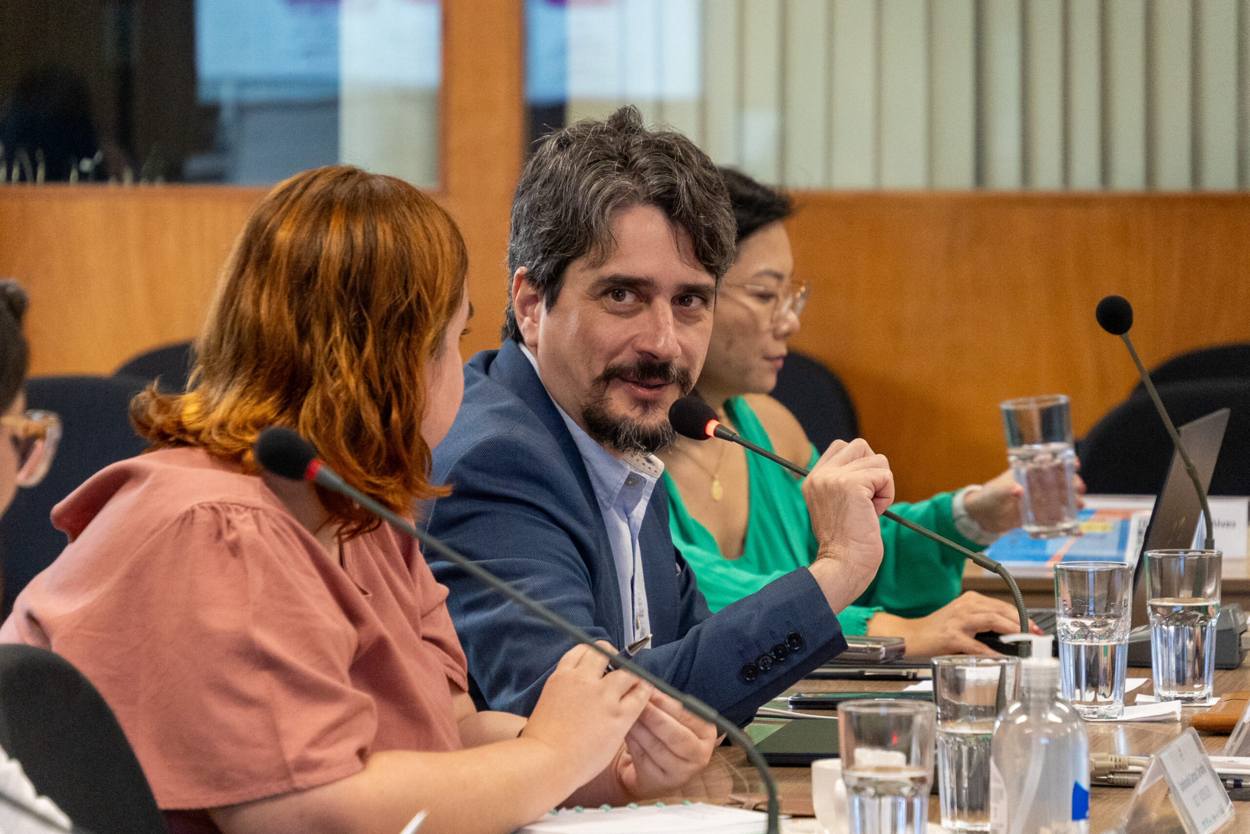 5ª Reunião dos Comitês de Gestão de Indicadores da Ripsa​ - 2024.10.29 e 30