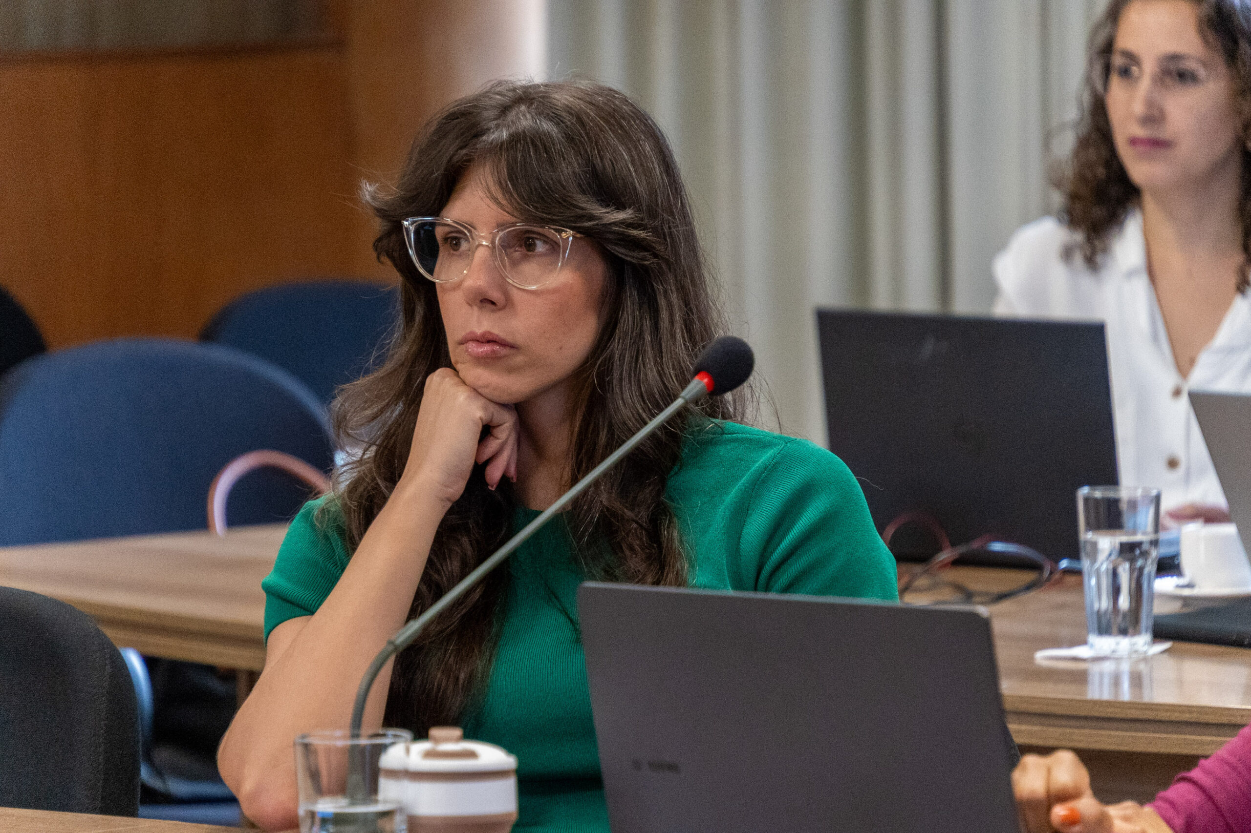 5ª Reunião dos Comitês de Gestão de Indicadores da Ripsa​ - 2024.10.29 e 30