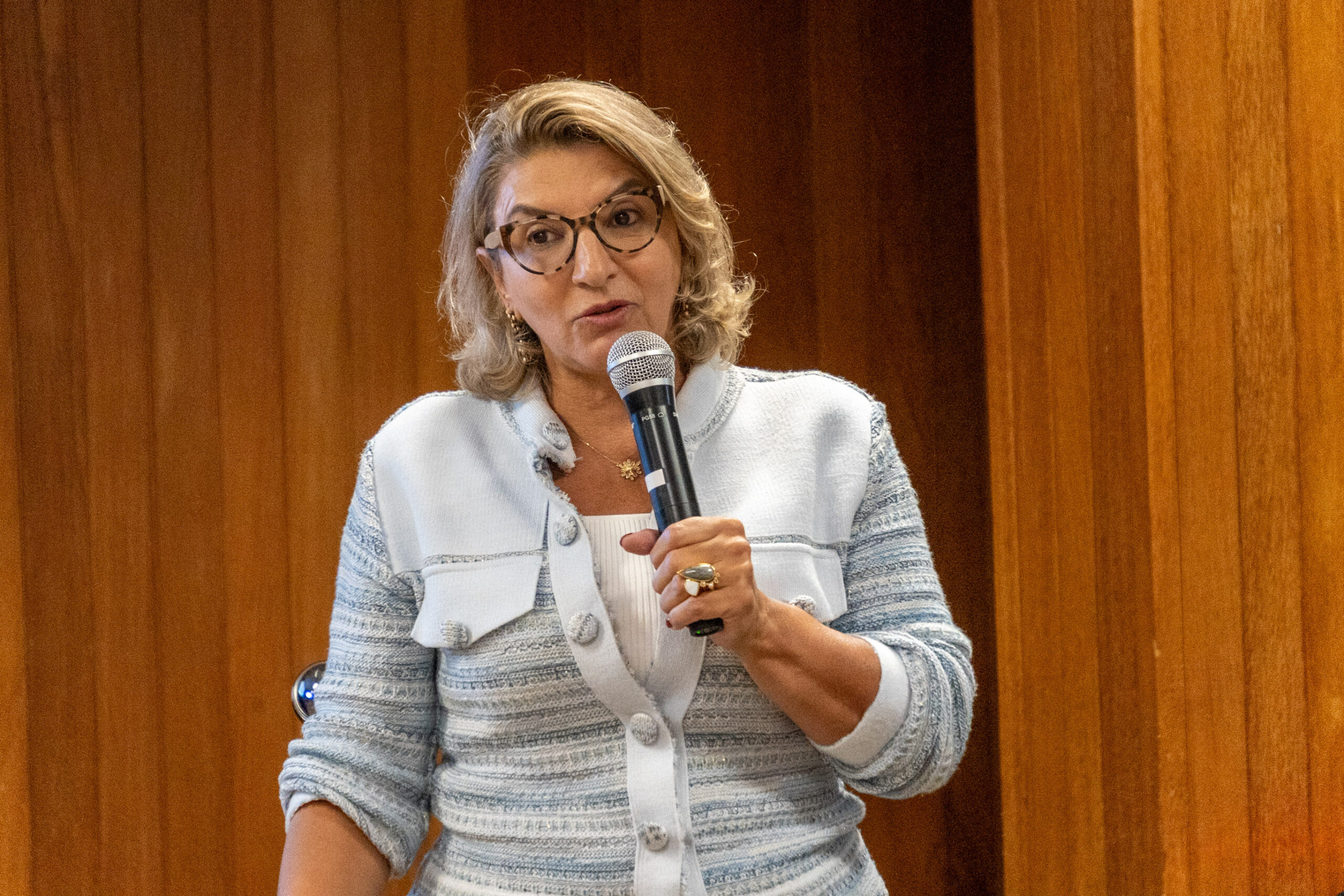 5ª Reunião dos Comitês de Gestão de Indicadores da Ripsa​ - 2024.10.29 e 30