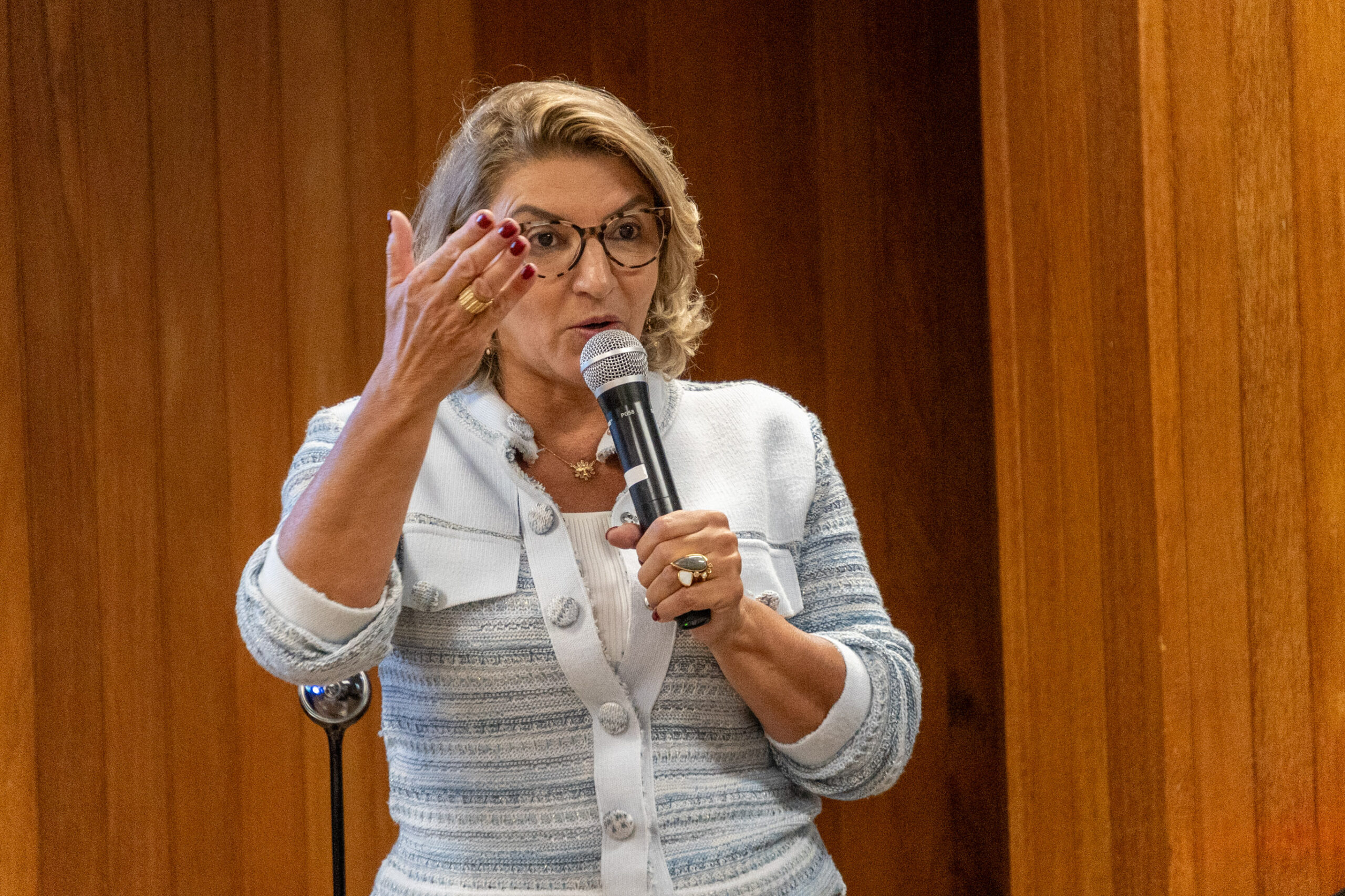 5ª Reunião dos Comitês de Gestão de Indicadores da Ripsa​ - 2024.10.29 e 30