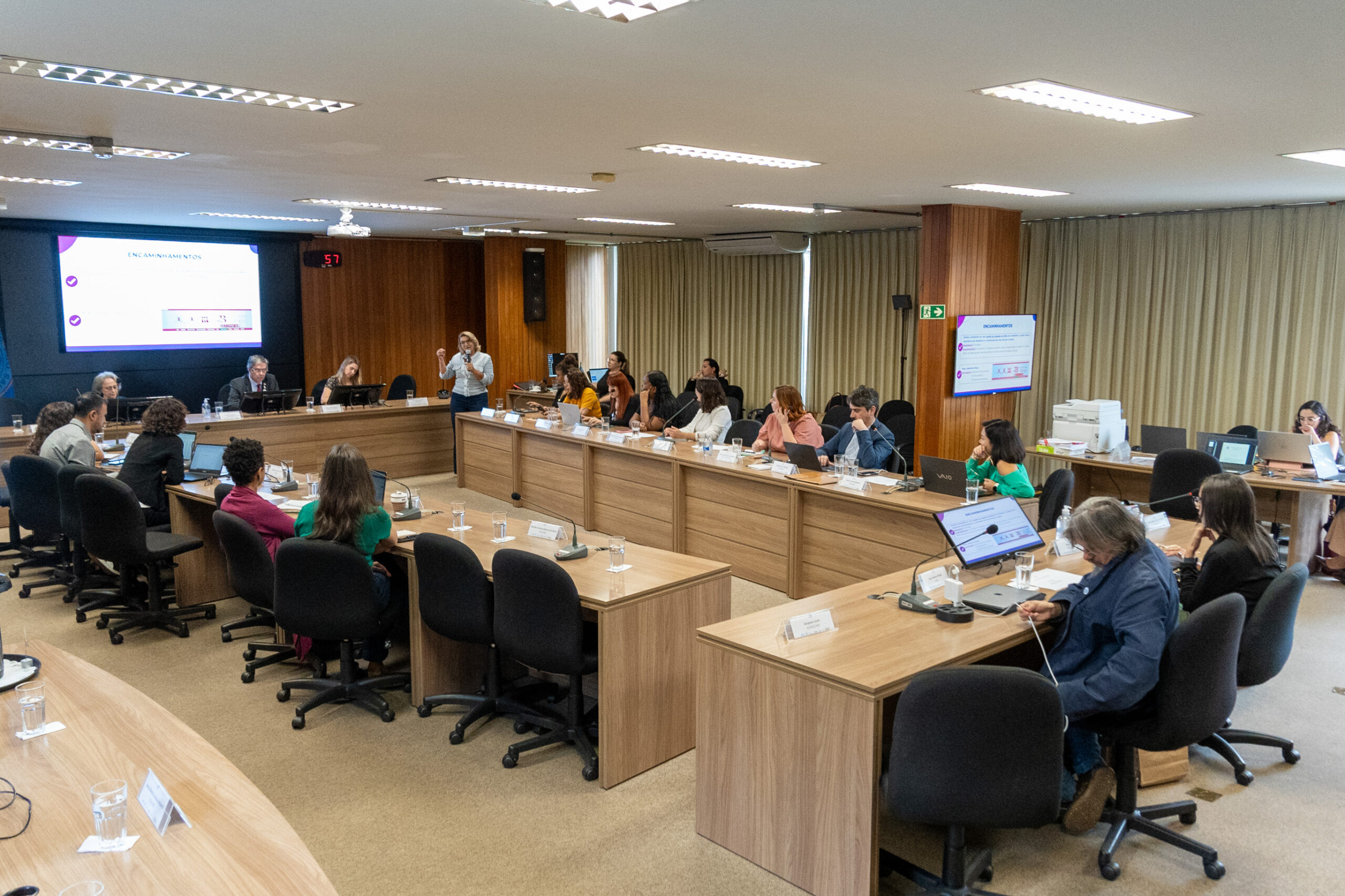 5ª Reunião dos Comitês de Gestão de Indicadores da Ripsa​ - 2024.10.29 e 30