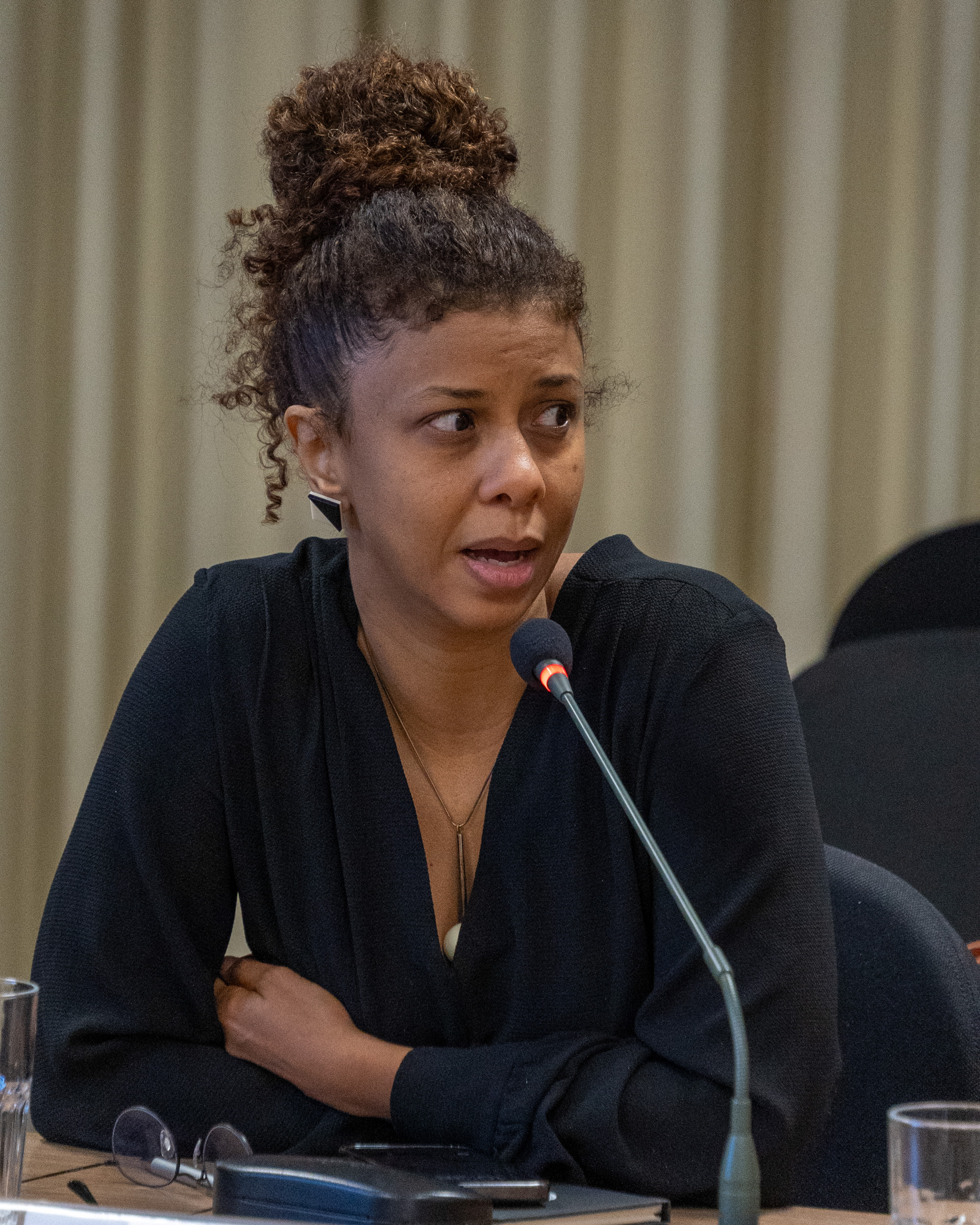 5ª Reunião dos Comitês de Gestão de Indicadores da Ripsa​ - 2024.10.29 e 30