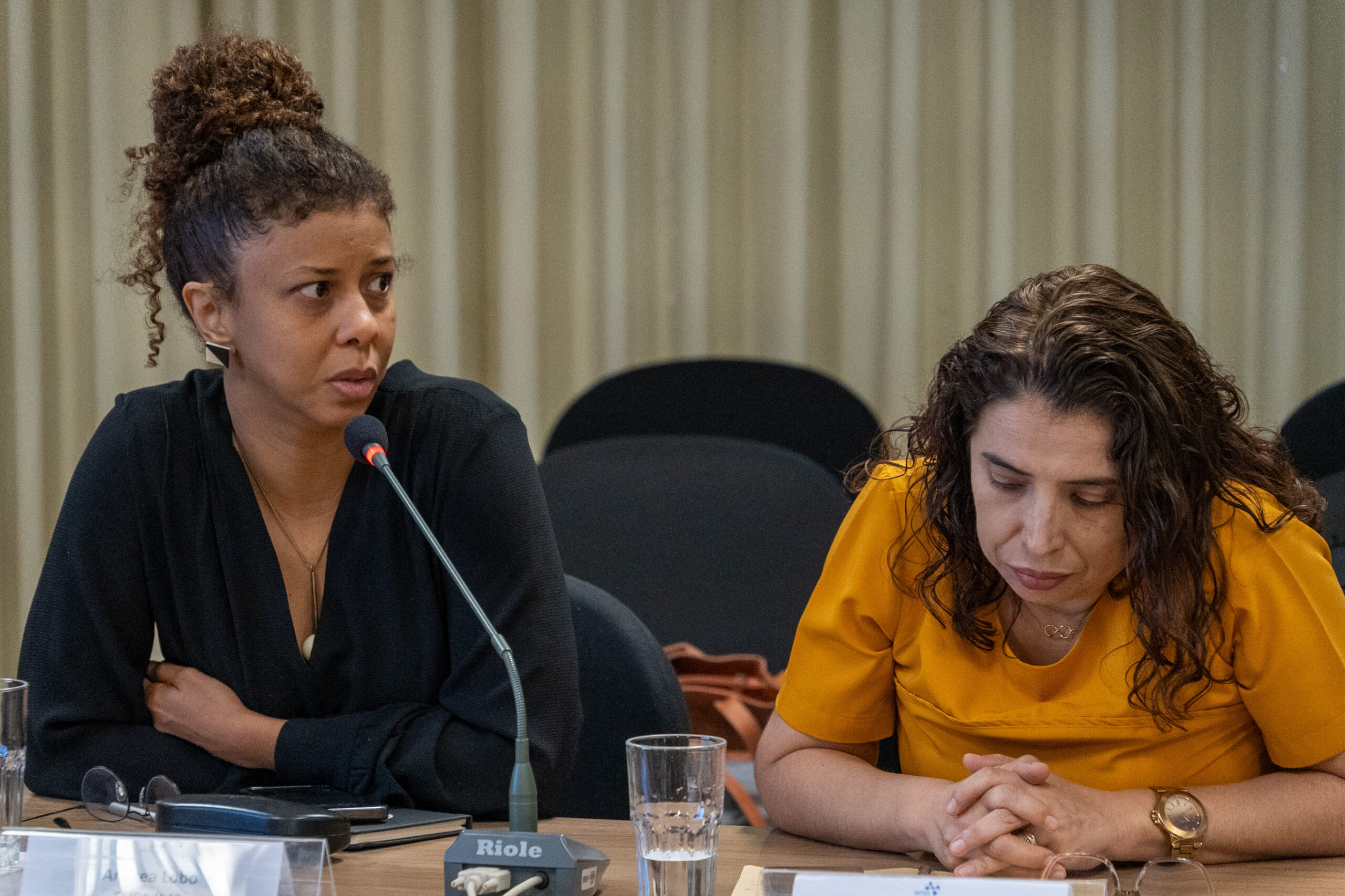 5ª Reunião dos Comitês de Gestão de Indicadores da Ripsa​ - 2024.10.29 e 30