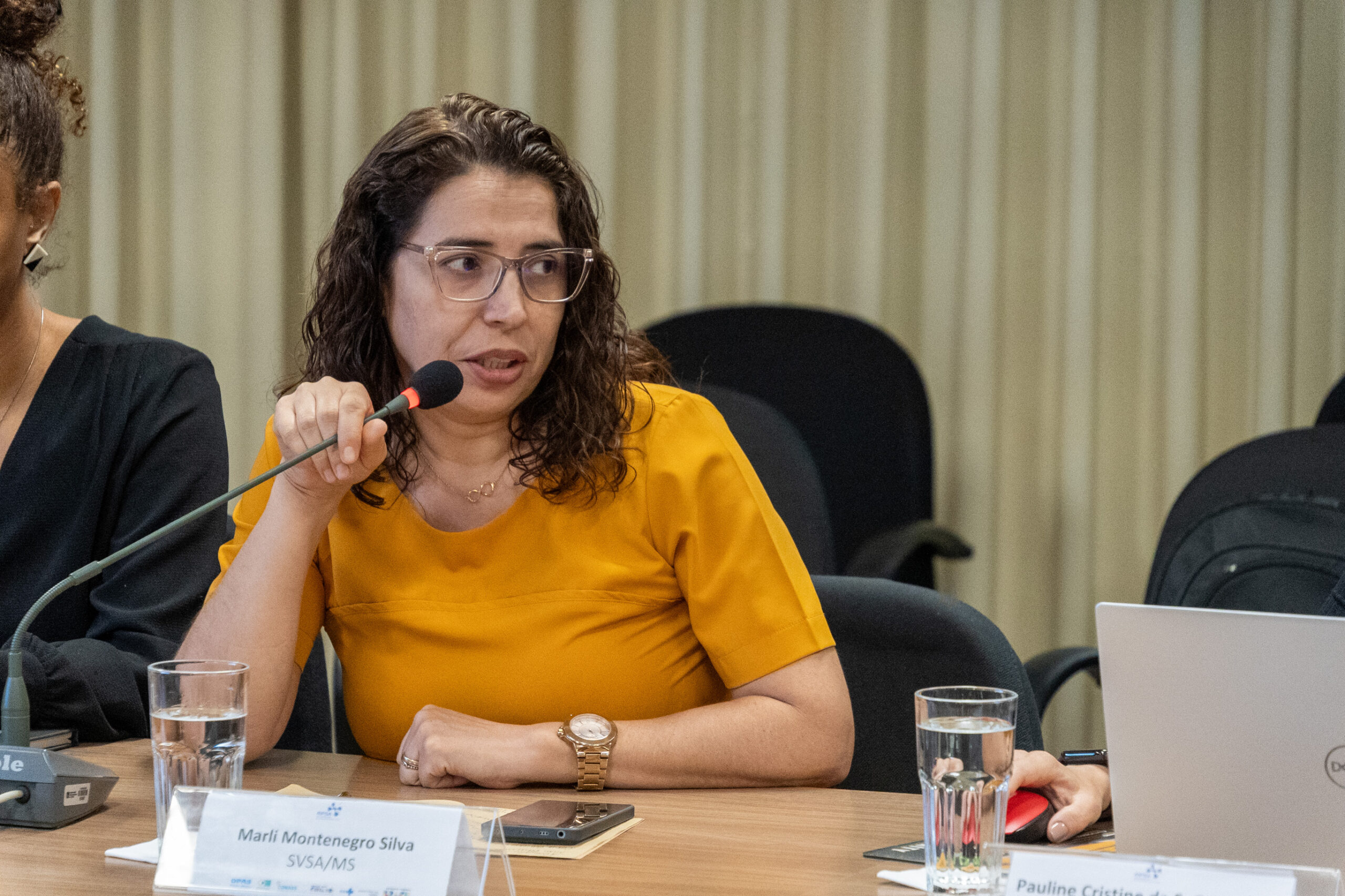 5ª Reunião dos Comitês de Gestão de Indicadores da Ripsa​ - 2024.10.29 e 30