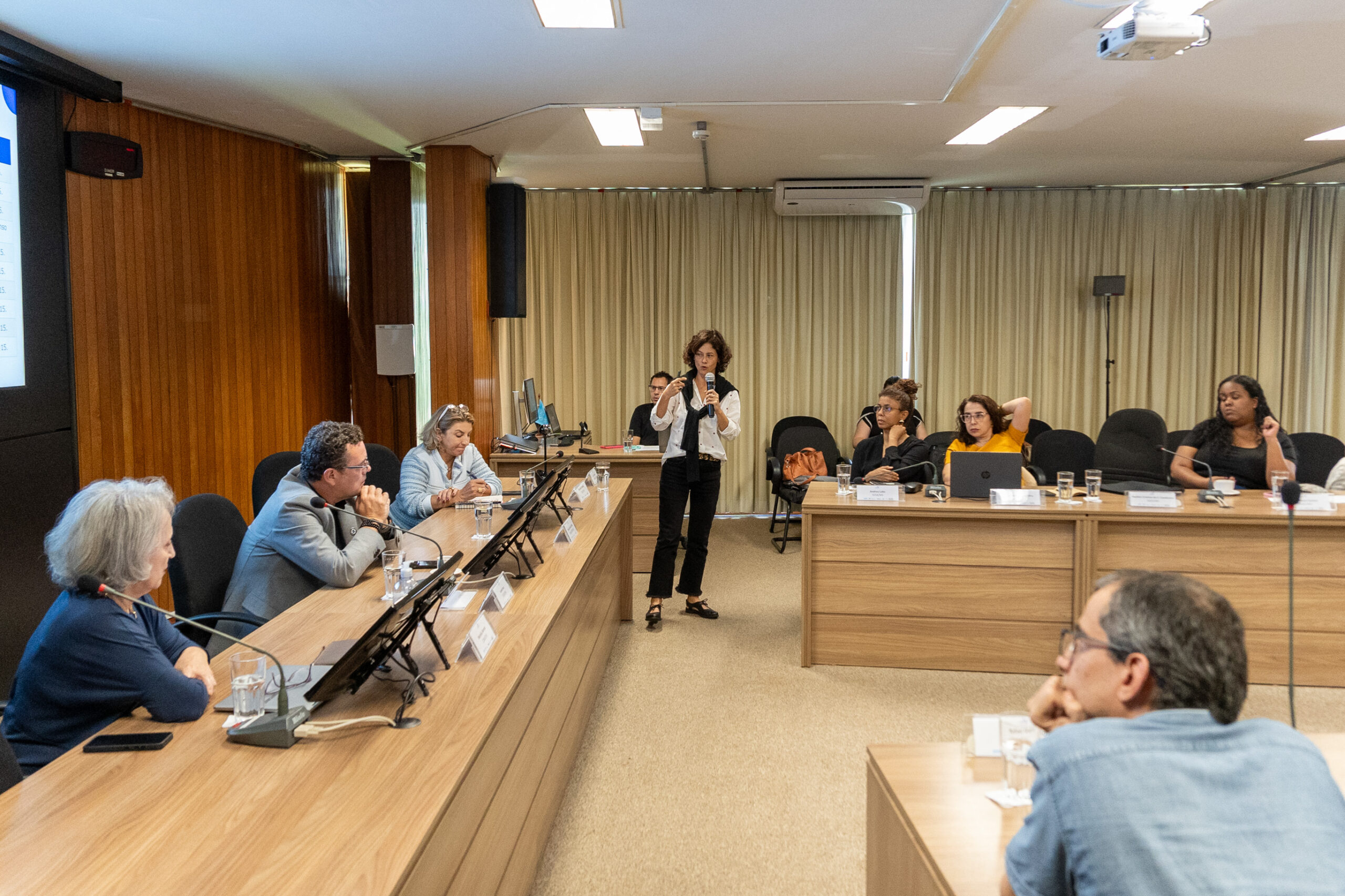 5ª Reunião dos Comitês de Gestão de Indicadores da Ripsa​ - 2024.10.29 e 30