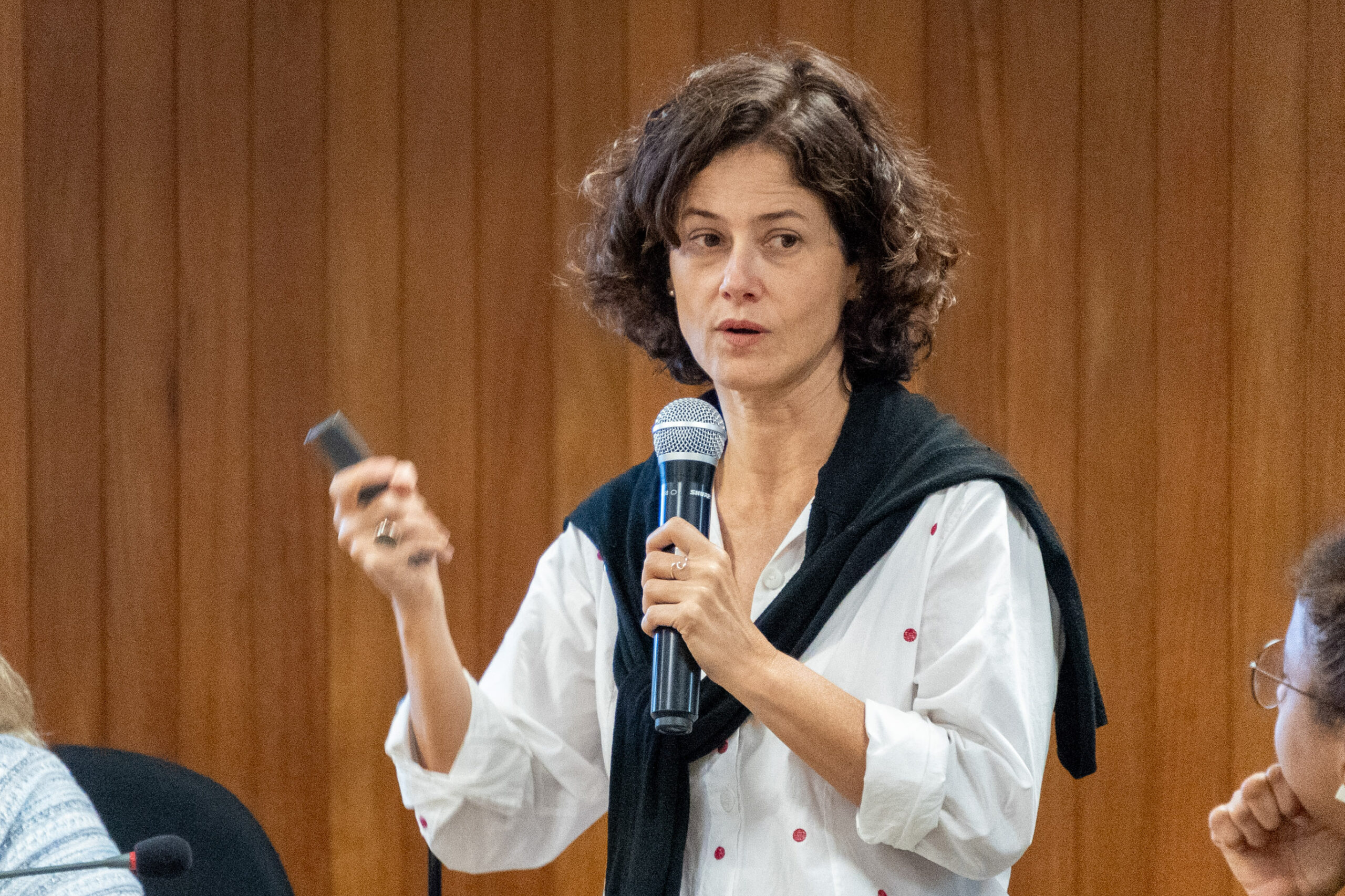 5ª Reunião dos Comitês de Gestão de Indicadores da Ripsa​ - 2024.10.29 e 30