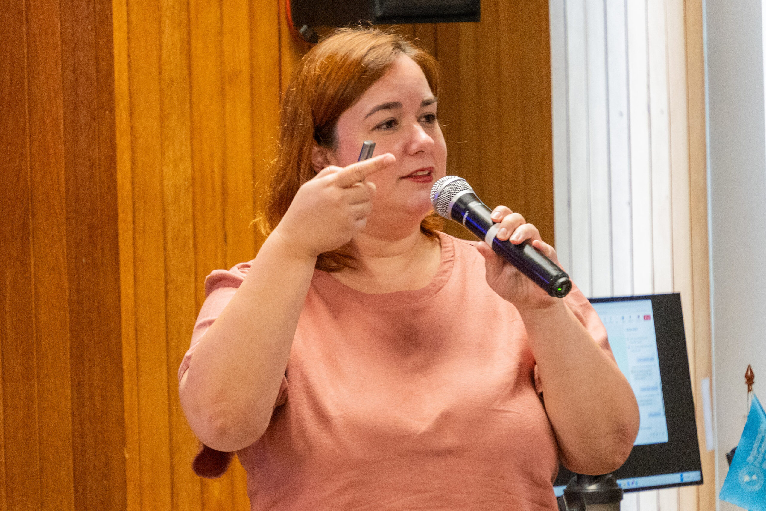 5ª Reunião dos Comitês de Gestão de Indicadores da Ripsa​ - 2024.10.29 e 30