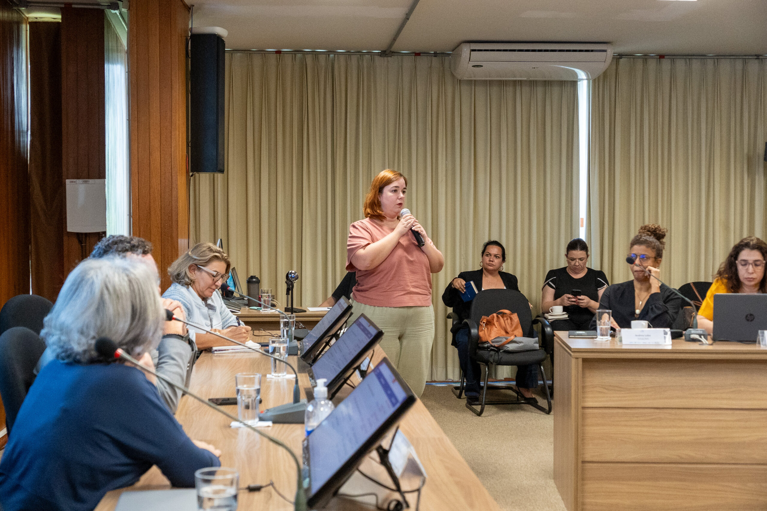 5ª Reunião dos Comitês de Gestão de Indicadores da Ripsa​ - 2024.10.29 e 30