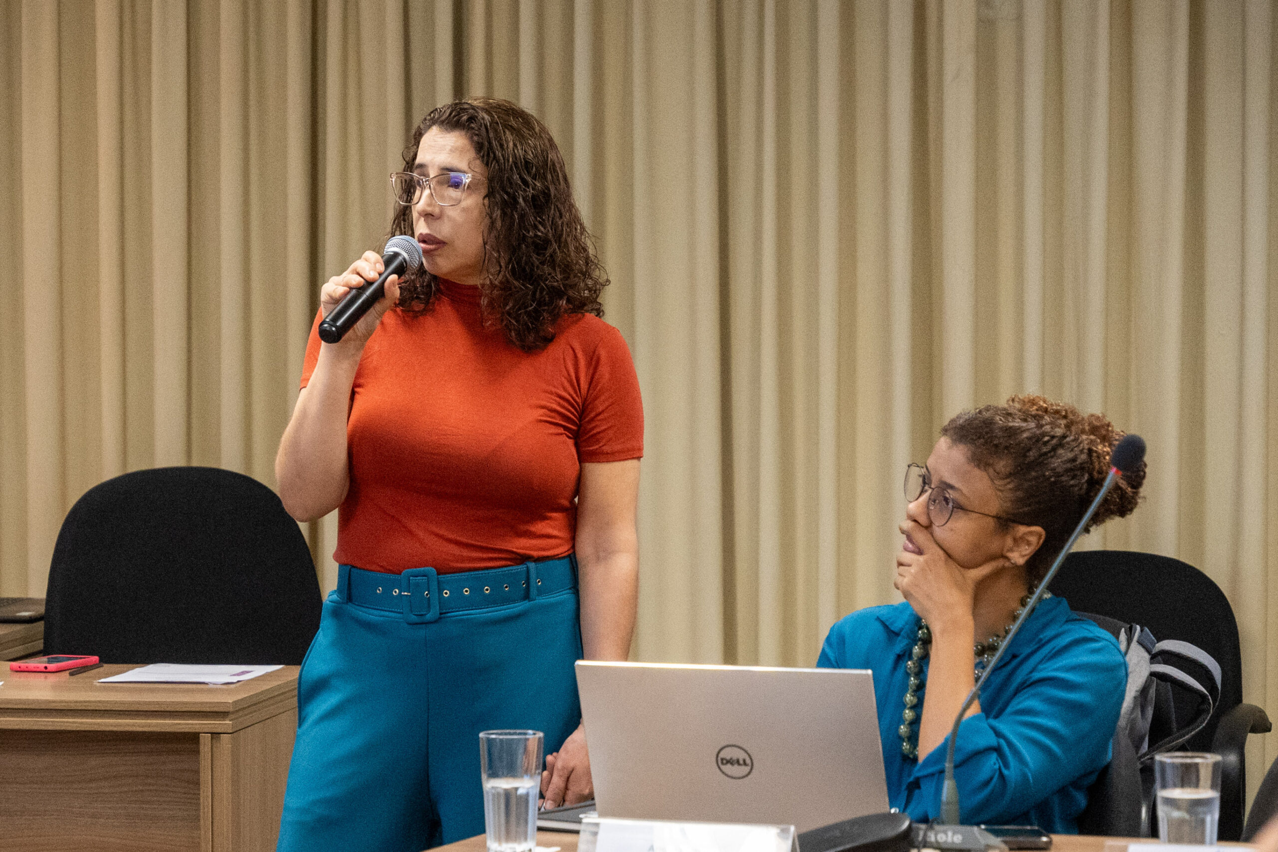 5ª Reunião dos Comitês de Gestão de Indicadores da Ripsa​ - 2024.10.29 e 30