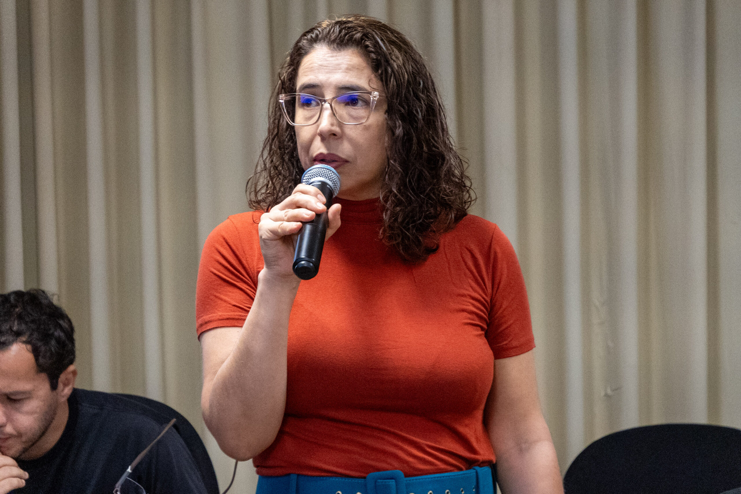 5ª Reunião dos Comitês de Gestão de Indicadores da Ripsa​ - 2024.10.29 e 30