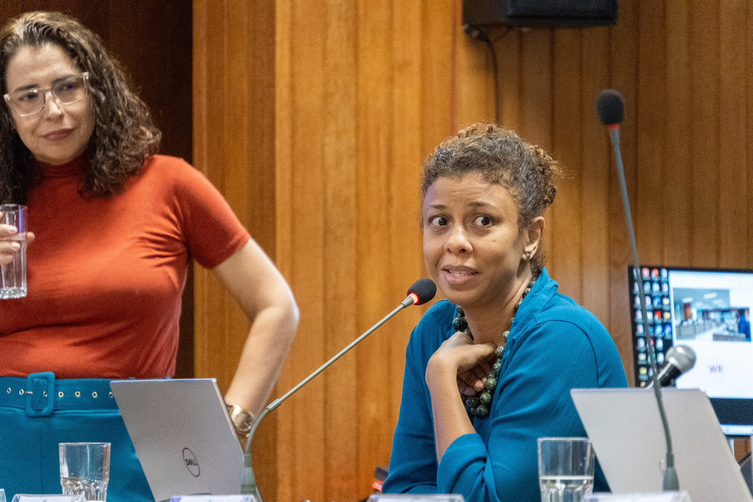 5ª Reunião dos Comitês de Gestão de Indicadores da Ripsa​ - 2024.10.29 e 30