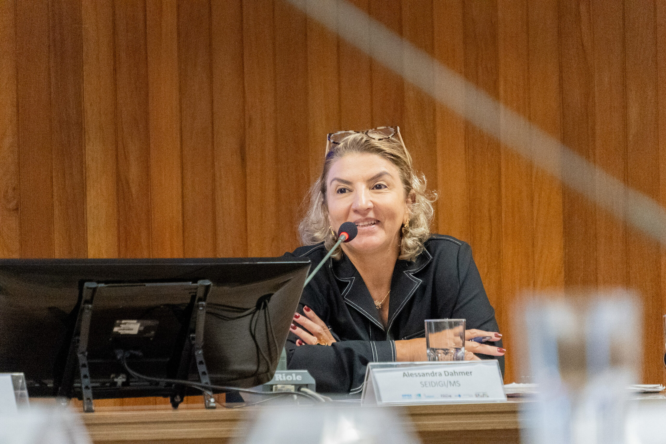 5ª Reunião dos Comitês de Gestão de Indicadores da Ripsa​ - 2024.10.29 e 30