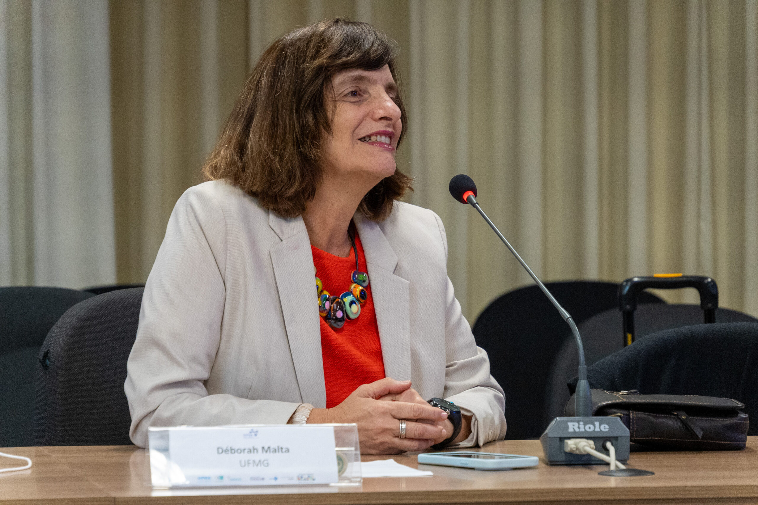 5ª Reunião dos Comitês de Gestão de Indicadores da Ripsa​ - 2024.10.29 e 30