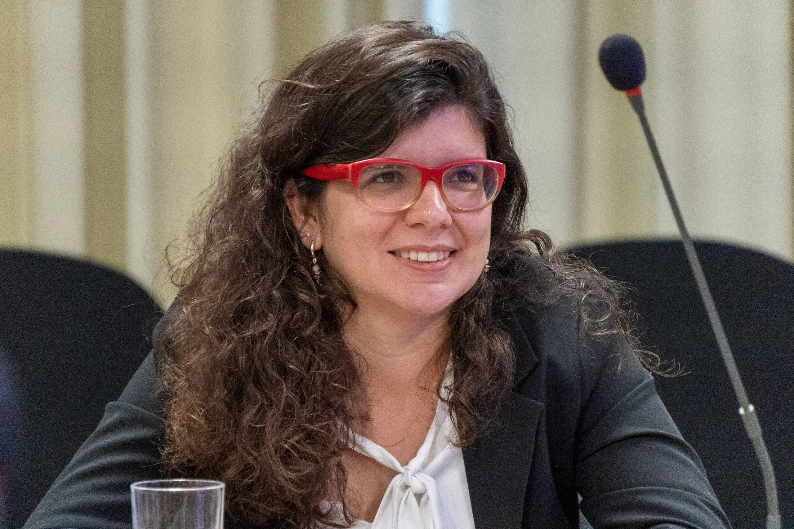 5ª Reunião dos Comitês de Gestão de Indicadores da Ripsa​ - 2024.10.29 e 30