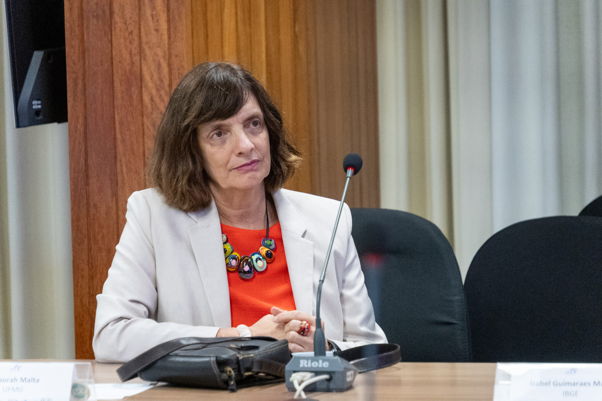 5ª Reunião dos Comitês de Gestão de Indicadores da Ripsa​ - 2024.10.29 e 30