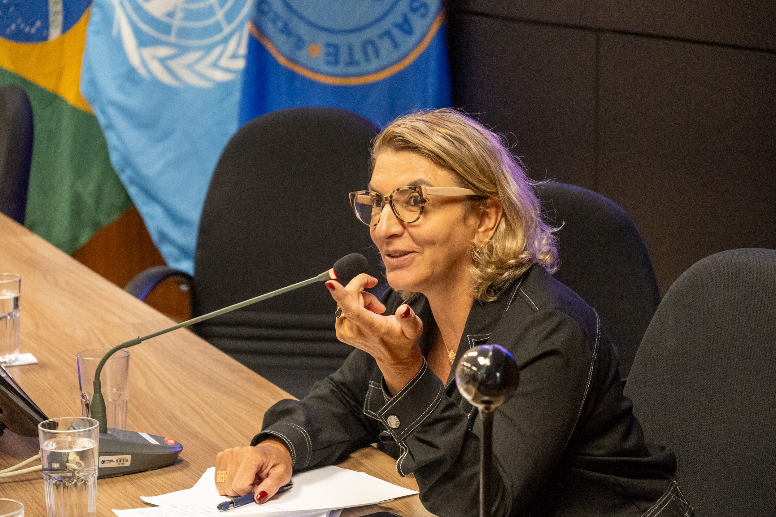 5ª Reunião dos Comitês de Gestão de Indicadores da Ripsa​ - 2024.10.29 e 30