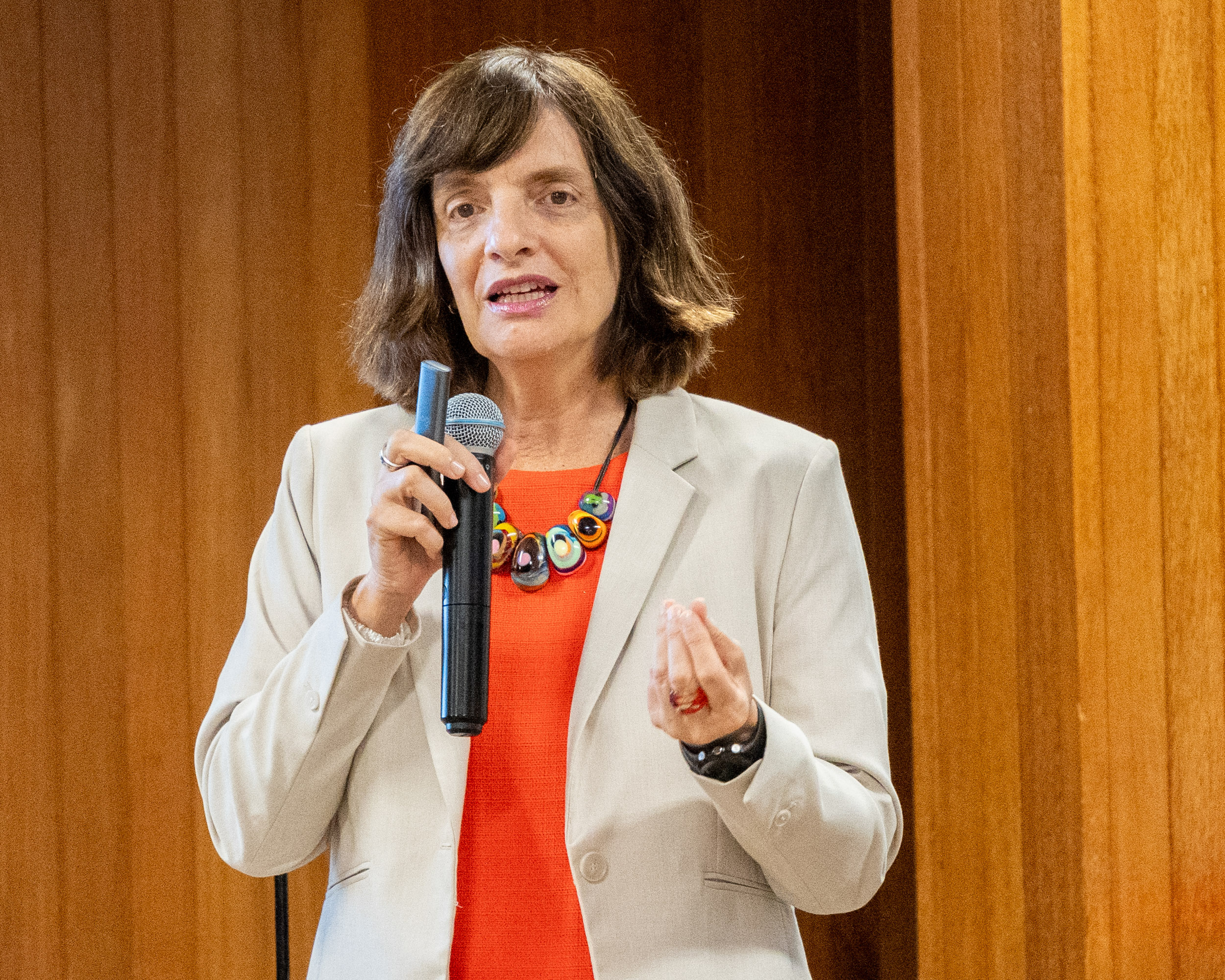 5ª Reunião dos Comitês de Gestão de Indicadores da Ripsa​ - 2024.10.29 e 30