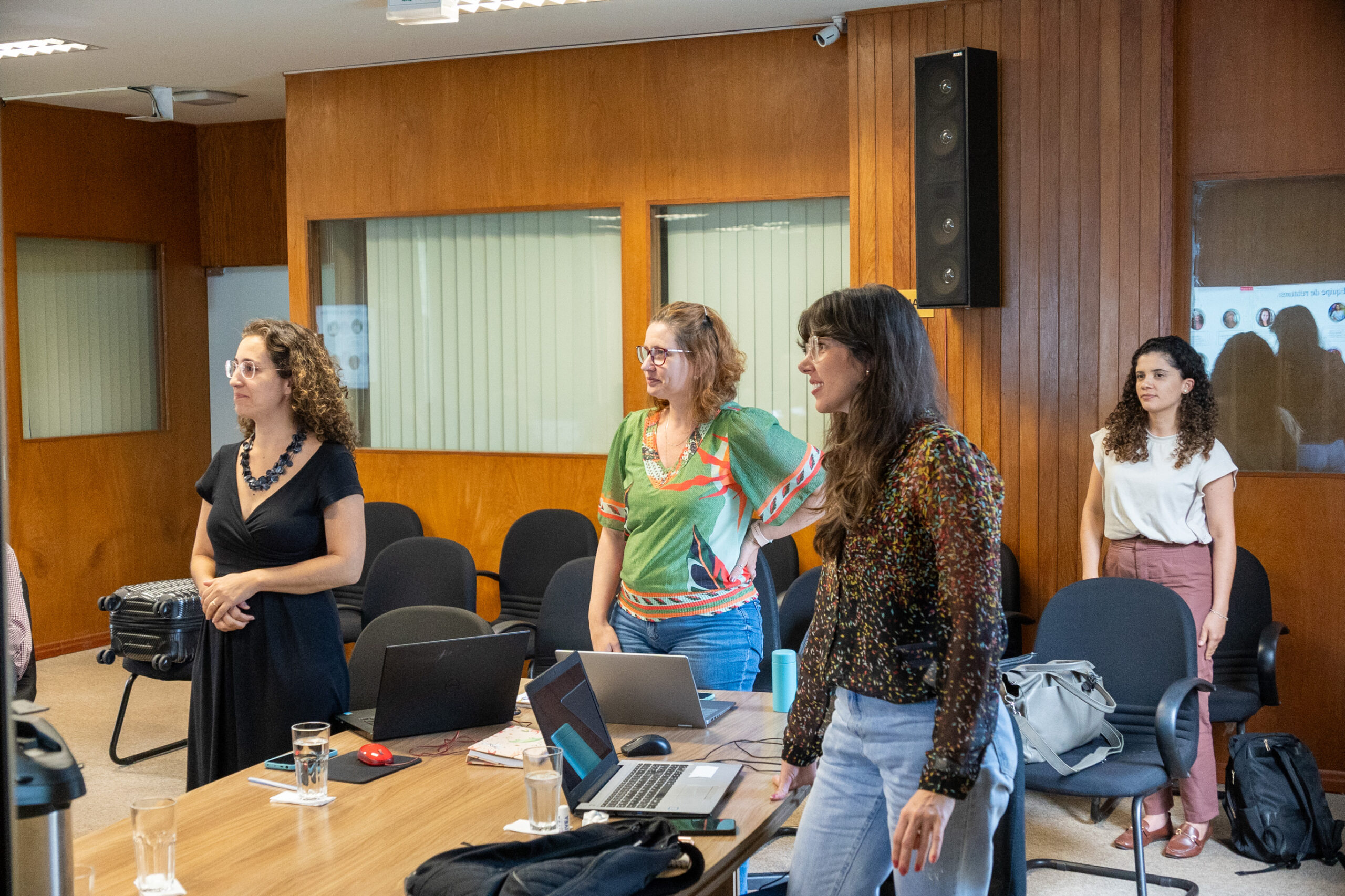 5ª Reunião dos Comitês de Gestão de Indicadores da Ripsa​ - 2024.10.29 e 30