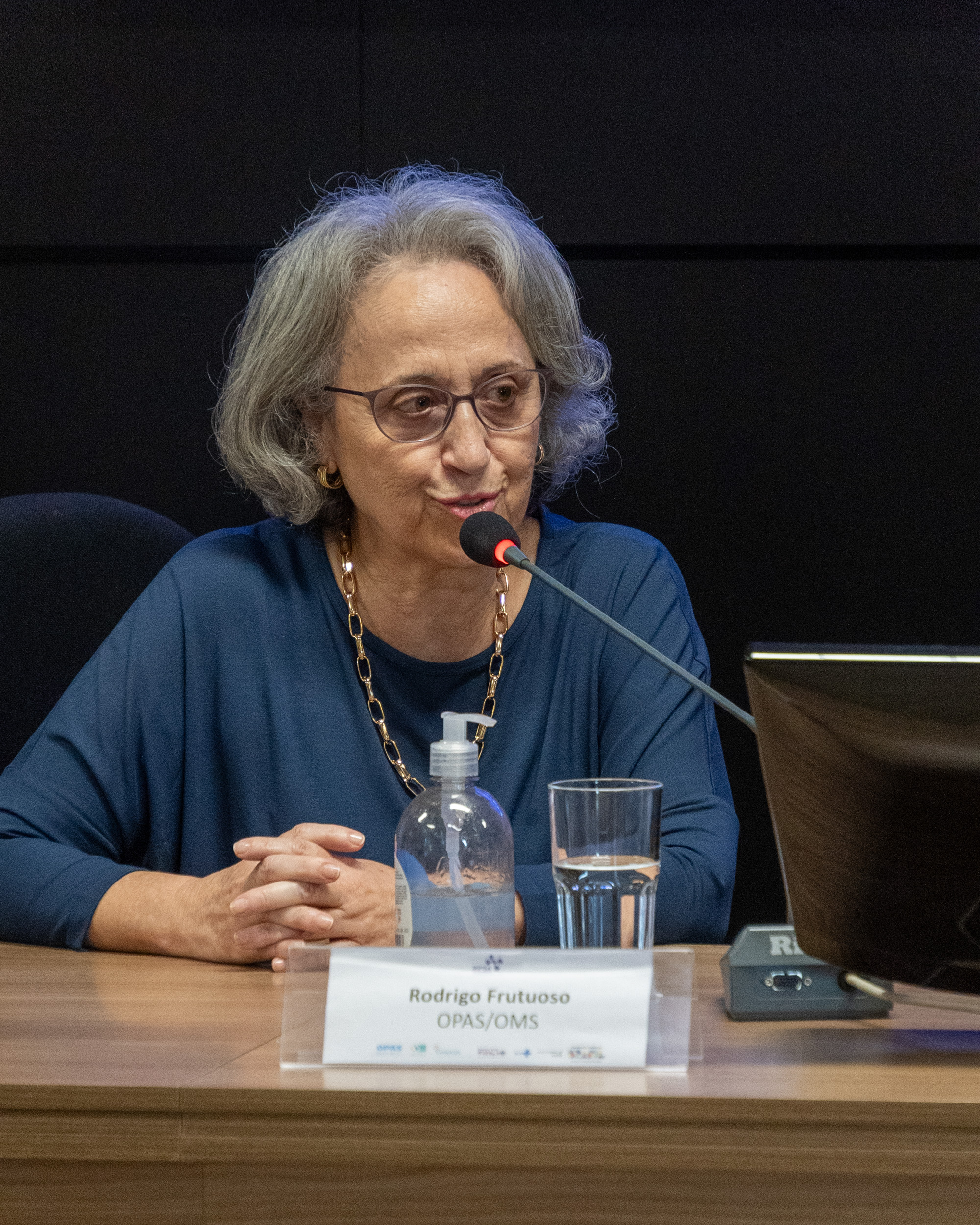 5ª Reunião dos Comitês de Gestão de Indicadores da Ripsa​ - 2024.10.29 e 30