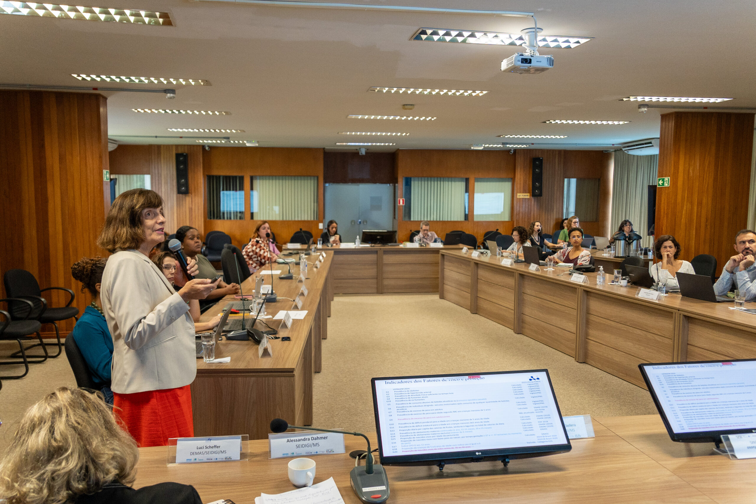 5ª Reunião dos Comitês de Gestão de Indicadores da Ripsa​ - 2024.10.29 e 30